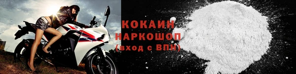 ГАЛЛЮЦИНОГЕННЫЕ ГРИБЫ Арсеньев