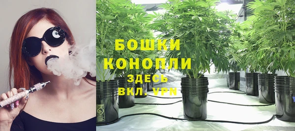 ГАЛЛЮЦИНОГЕННЫЕ ГРИБЫ Арсеньев