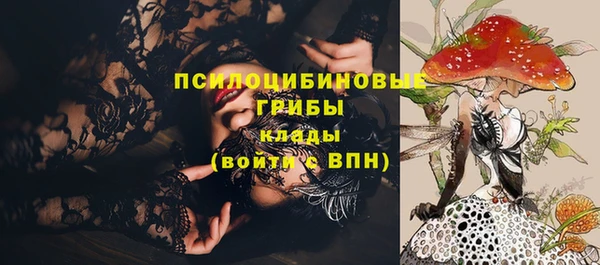 ГАЛЛЮЦИНОГЕННЫЕ ГРИБЫ Арсеньев