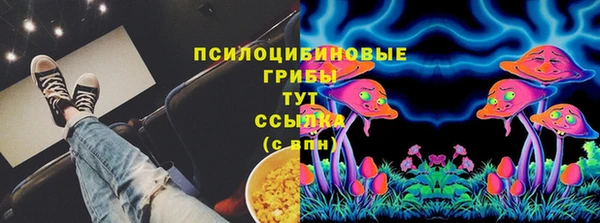 тгк Армянск