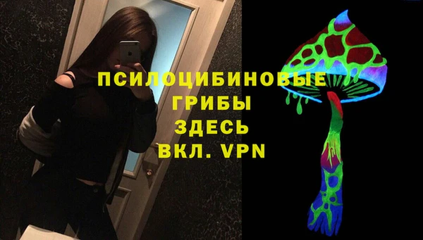 ГАЛЛЮЦИНОГЕННЫЕ ГРИБЫ Арсеньев