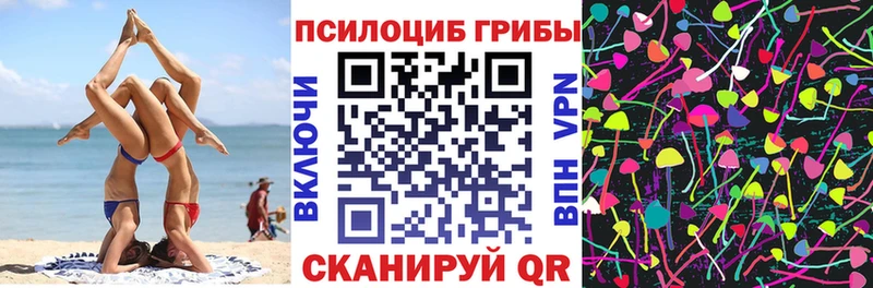 магазин продажи наркотиков  Нижняя Салда  Галлюциногенные грибы мицелий 